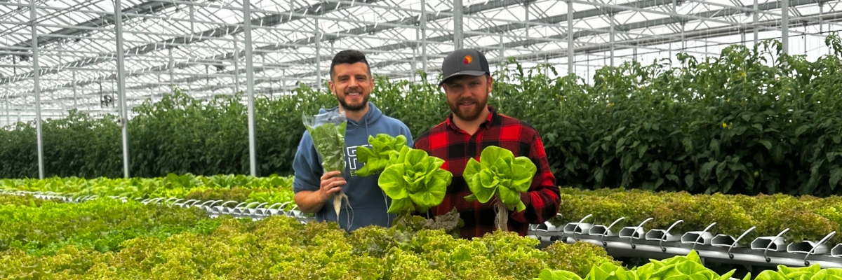 Fresh From the Greenhouse Available in Store!